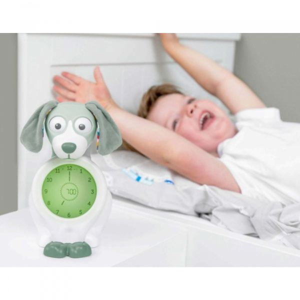 Réveil davy le chien gris Zazu